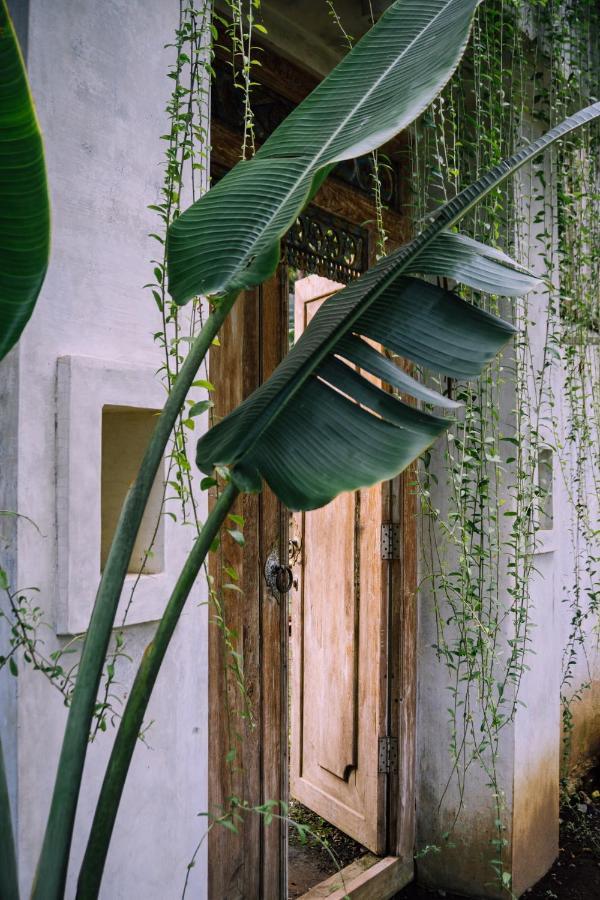 Adara Homestay Banyuwangi  Exterior photo